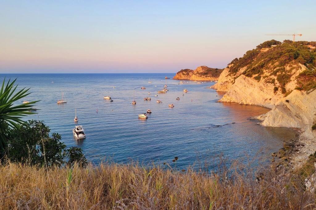 Javea Beach Blue House Zewnętrze zdjęcie